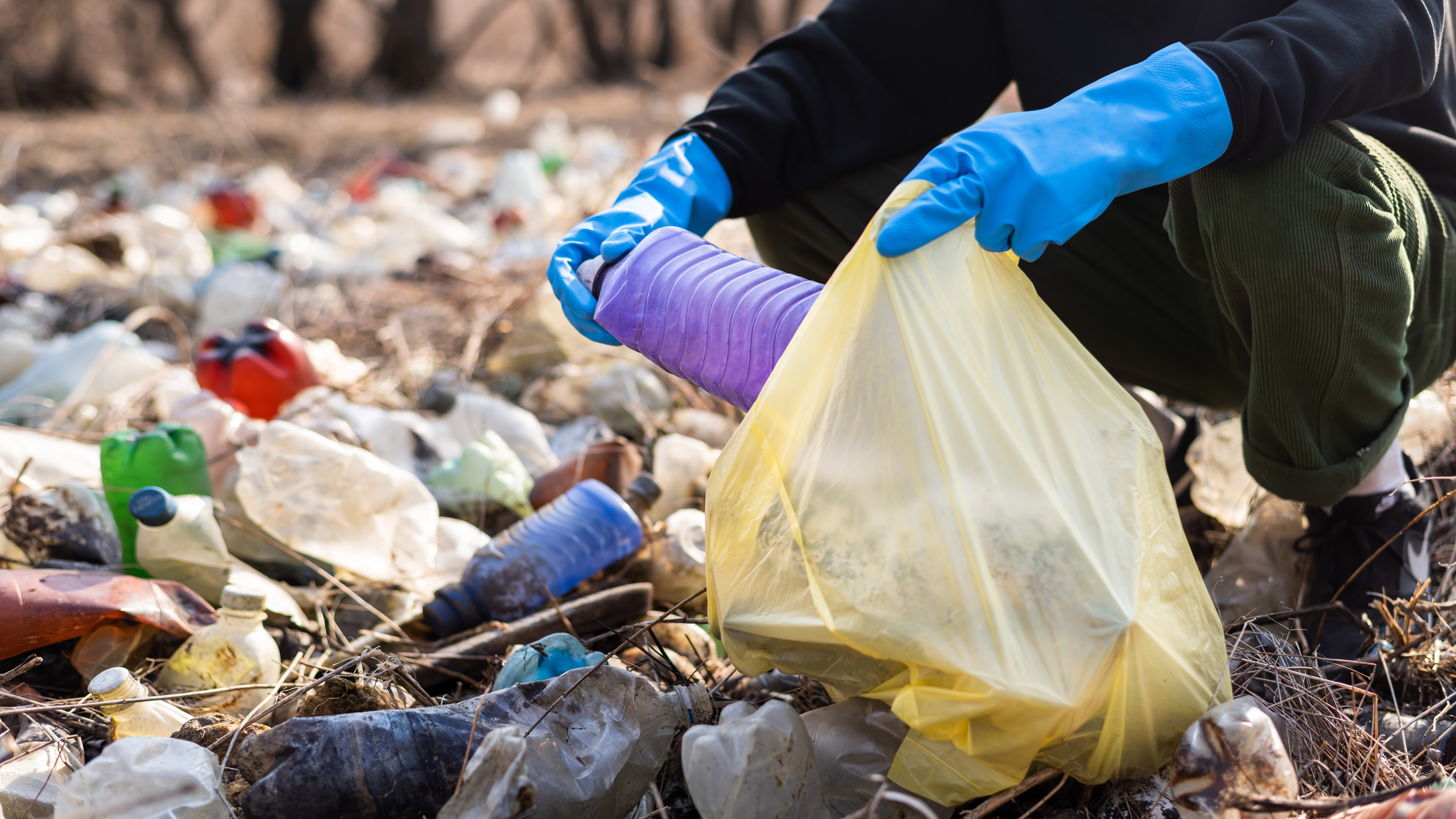 Waste Foreground